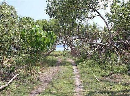 Alofa Beach Bungalows Lenakel  Bagian luar foto